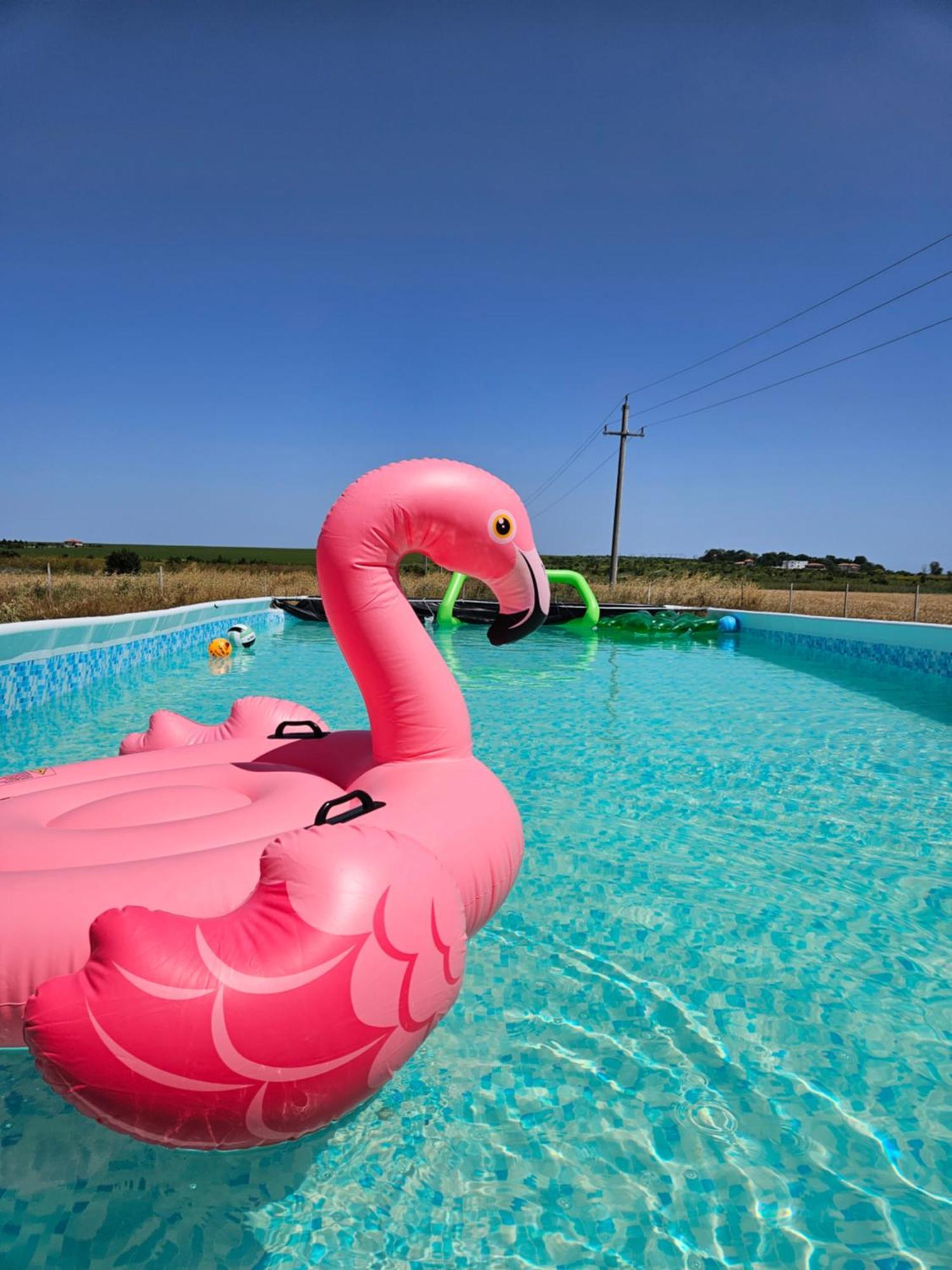Mar A Lago Glamping23 Douăzeci şi Trei August Zewnętrze zdjęcie