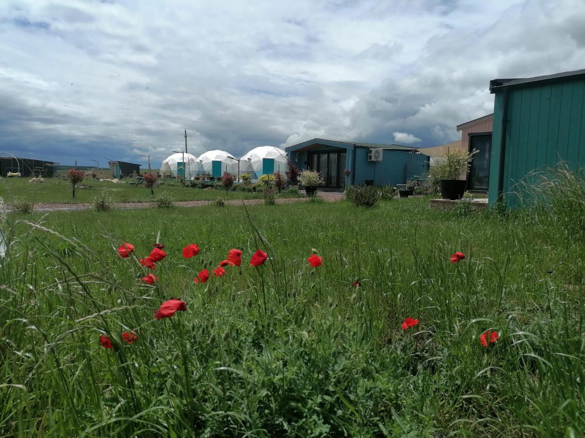Mar A Lago Glamping23 Douăzeci şi Trei August Zewnętrze zdjęcie